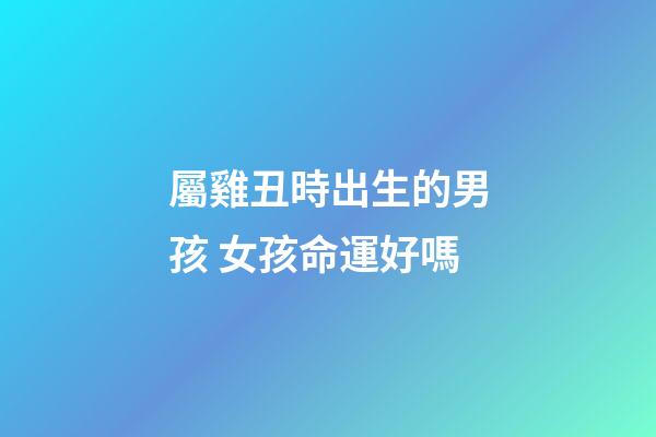 屬雞丑時出生的男孩 女孩命運好嗎